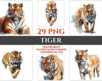 Akvarell tiger clipart-paket, transparent PNG-grafik (digital nedladdning)