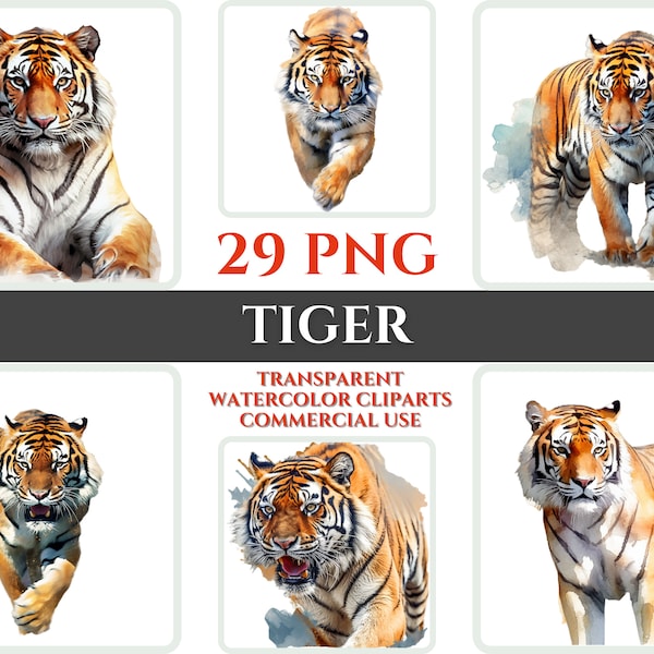 Watercolor Tiger Clipart Bundle Wallart PNG Tiger Gift For Craft Digital Clipart Tiger Wall Decor Transparent Watercolor Clipart Room Decor