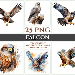 Aquarel Falcon Clipart Majestic Brown Bird Fly Bundle Sublimation PNG Abstract Feather Lovely Cardmaking Craft Digital Printable WallArt