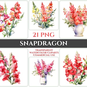 Acuarela Snapdragon Clipart PNG Flor Flor Imagen Romántica Archivo Sublimación Wallart Digital Boda Ramo Colorido Vibrante Arte Floral