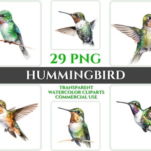 Zestaw akwarelowych kolibrów Clipart Koliber PNG Prezent dla przedszkola Cyfrowe Clipart Koliber Wallart Przezroczysty akwarelowy Clipart