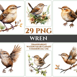Aquarel winterkoninkje clipart majestueuze bruine vogel vliegen bundel sublimatie PNG abstracte veer schattige verjaardag kaart maken digitale afdrukbare kunst