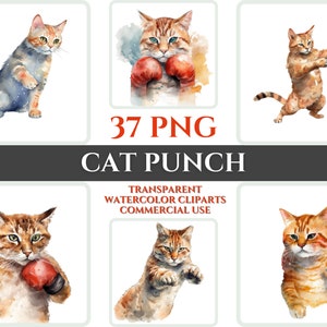 Acuarela gato Clipart paquete gato PNG gato amante regalo para vivero Digital Clipart gato perforador pared decoración transparente acuarela Clipart niño arte