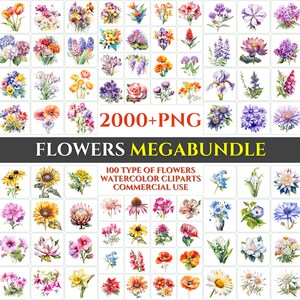 100 Type of Flowers Watercolor Clipart Bundle Blossom Image Romantic File Sublimation Wallart Digital Wedding Bouquet Colorful Floral Art
