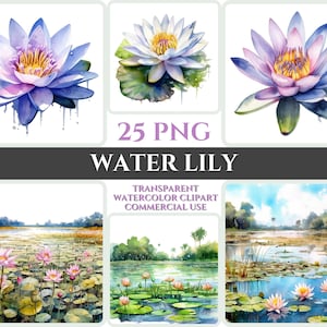 Acuarela agua lirio Clipart PNG flor flor imagen archivo romántico sublimación Wallart boda Digital ramo colorido vibrante arte Floral