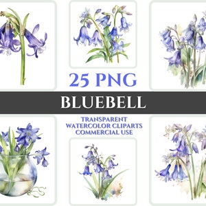 Acuarela Bluebell Clipart PNG Flor Flor Imagen Romántica Archivo Sublimación Wallart Boda Digital Ramo Colorido Vibrante Arte Floral