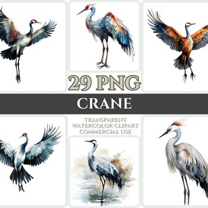 Aquarel Crane Clipart Majestic White Bird Fly Bundel Sublimatie PNG Abstract Feather Schattig Cardmaking Digital Printable Art
