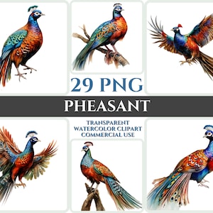 Aquarel fazant clipart majestueuze kleurrijke vogel vlieg bundel sublimatie PNG abstracte veer mooie kaart maken ambachtelijke digitale afdrukbare kunst