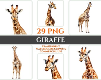 Paquete de imágenes prediseñadas de jirafa en acuarela, arte mural de jirafa (descarga digital PNG)
