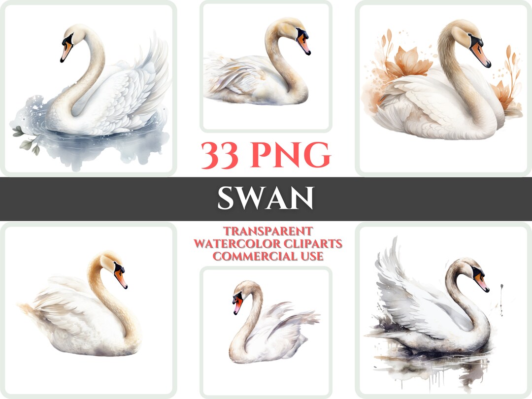 Watercolor Swan Clipart Bundle, Swan Nursery Art (digital Download) - Etsy