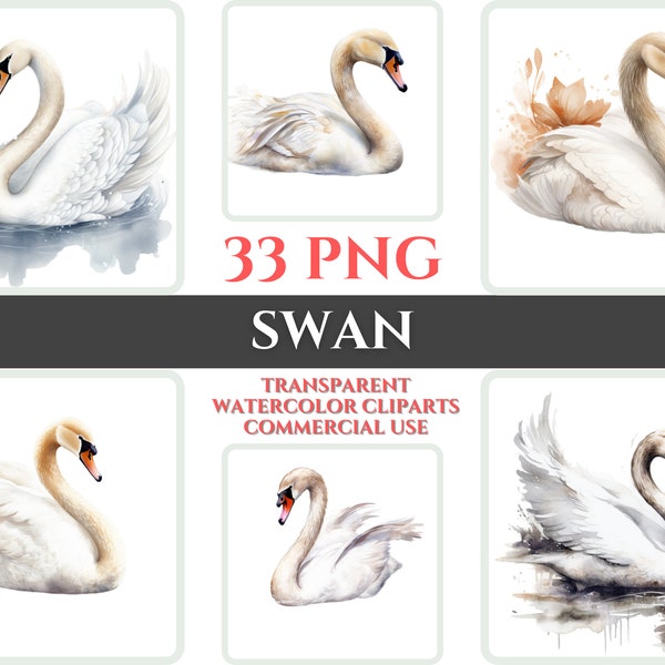 Watercolor Swan Clipart Swan PNG Bundle Swan Wallart Gift For Nursery Digital Clipart Swan Wall Decor Transparent Watercolor Clipart Kid