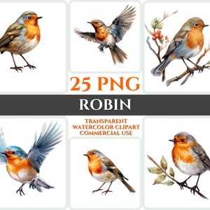 Aquarel Robin Clipart Majestic Kleurrijke Bird Fly Bundel Sublimatie PNG Abstract Feather Schattig Cardmaking Craft Digital Printable Art