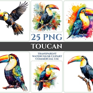 Aquarel Toucan Clipart Majestic Kleurrijke Bird Fly Bundel Sublimatie PNG Abstract Feather Schattig Cardmaking Craft Digital Printable Art