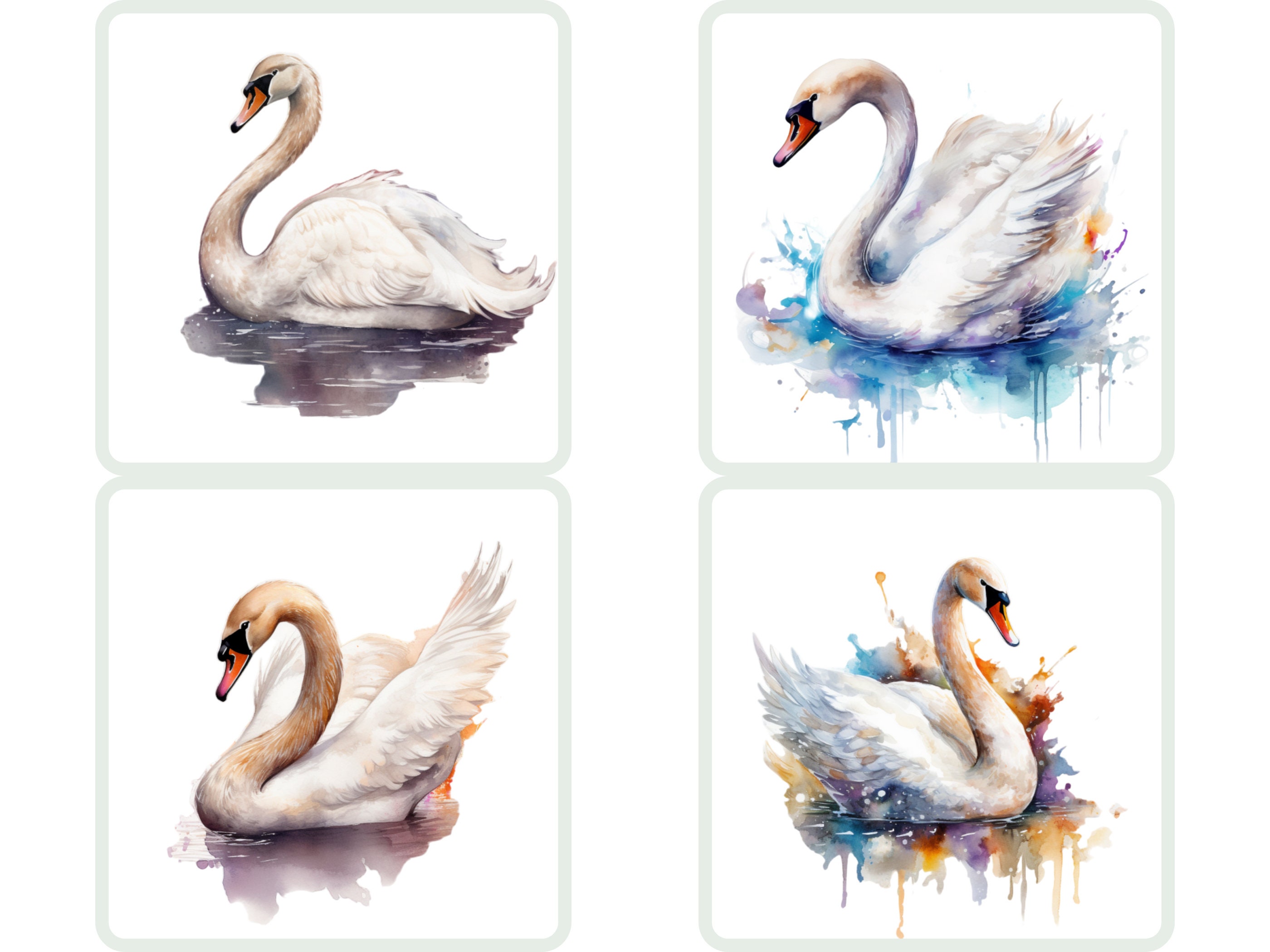 Watercolor Swan Clipart Swan PNG Bundle Swan Wallart Gift for - Etsy