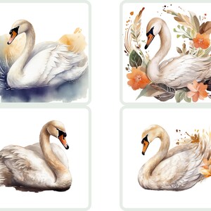 Watercolor Swan Clipart Swan PNG Bundle Swan Wallart Gift for Nursery ...