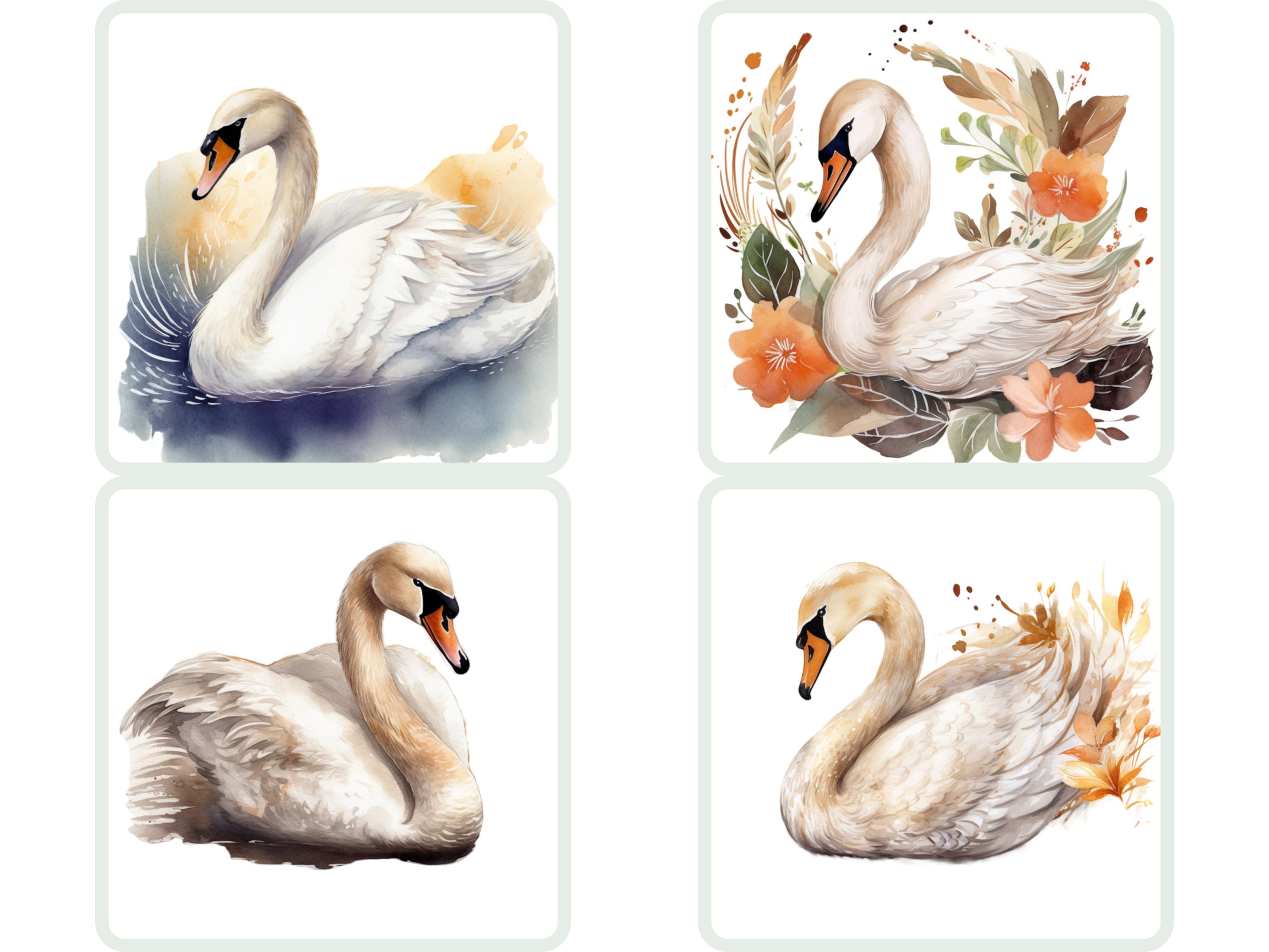 Watercolor Swan Clipart Swan PNG Bundle Swan Wallart Gift for - Etsy