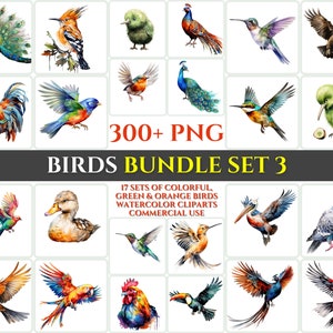 Aquarel vogel clipart bundel set 3 majestueuze kleurrijke groen oranje sublimatie PNG abstracte veer mooie kaartmaken ambachtelijke afdrukbare kunst
