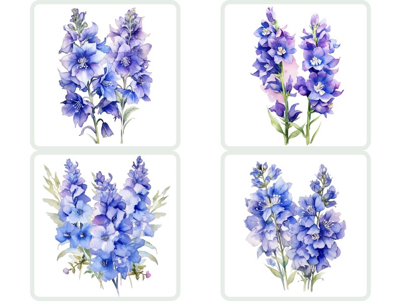Watercolor Delphinium Clipart: Floral Bouquet PNG (digital Download ...