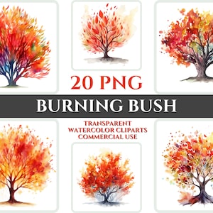 May include: A set of 20 watercolor clipart images of burning bushes in various shades of red, orange, and yellow. The images are transparent and perfect for digital design projects.