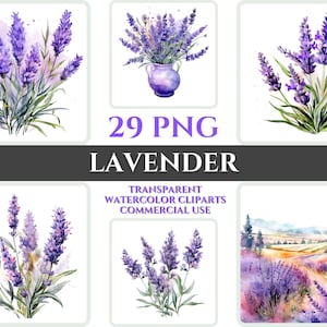 Watercolor Lavender Clipart PNG Flower Blossom Image Romantic File Sublimation Wallart Digital Wedding Bouquet Colorful Vibrant Floral Art