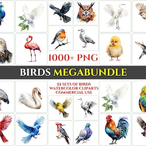 Aquarel vogel clipart mega bundel majestueuze kleurrijke vogels vliegen sublimatie PNG abstracte veer mooie kaart maken ambachtelijke afdrukbare kunst