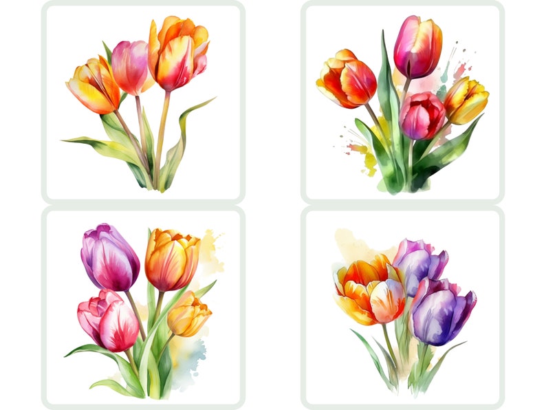 Watercolor Tulip Clipart PNG Flower Blossom Image Romantic File ...