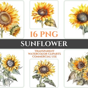 Aquarel Zonnebloem Clipart PNG Bloem Bloesem Afbeelding Romantisch Bestand Sublimatie Wallart Digitale Bruidsboeket Kleurrijke Levendige Bloemsierkunst