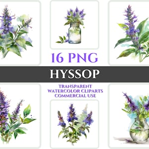 Acuarela Hisopo Clipart PNG Flor Flor Imagen Archivo Romántico Sublimación Wallart Digital Boda Ramo Colorido Vibrante Arte Floral