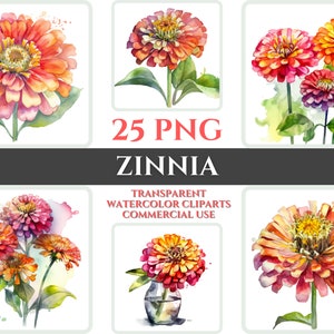 Watercolor Zinnia Clipart PNG Flower Blossom Image Romantic File Sublimation Wallart Digital Wedding Bouquet Colorful Vibrant Floral Art