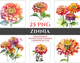Clipart de zinnias en acuarela: 25 imágenes PNG de flores (descarga digital)