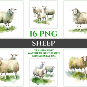Aquarela Ovelha Clipart Pacote Wallart PNG Ovelha Presente Para Batismo Clipart Digital Ovelha Wallart Transparente Aquarela Clipart Kid Decor