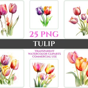 Aquarel tulp clipart PNG bloem bloesem afbeelding romantisch bestand sublimatie Wallart digitale bruiloft boeket kleurrijke levendige bloemsierkunst