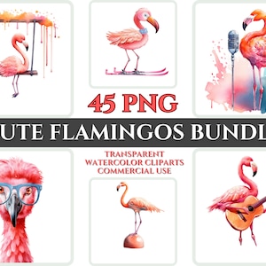 Leuke grappige Flamingo Clipart kwekerij Baby Kawaii Clipart Kid Craft Cartoon aquarel dier portret PNG bundel huisdier minnaar afdrukbaar kunstbestand