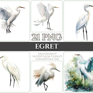 Aquarel Zilverreiger Clipart Majestic White Bird Fly Bundel Sublimatie PNG Abstract Feather Lovely Cardmaking Craft Digital Printable WallArt