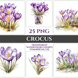 Peut inclure: Illustrations aquarelle de crocus violets dans différentes compositions. Les illustrations sont sur fond blanc et comprennent 25 fichiers PNG. Le texte "TRANSPARENT WATERCOLOR CLIPARTS COMMERCIAL USE" est également inclus dans l'image.