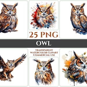 Aquarel uil clipart majestueuze bruine vogel vliegen bundel sublimatie PNG abstracte veer schattige kaart maken schattige digitale afdrukbare kunst