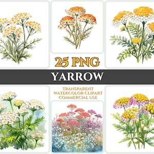 Acuarela milenrama Clipart PNG flor flor imagen archivo romántico sublimación Wallart boda Digital ramo colorido vibrante arte Floral