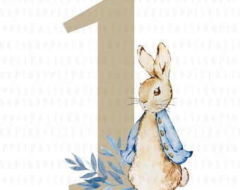 Peter Rabbit Png,Sublimation Design, Peter Rabbit Clipart, First Birthday, Bunny Clip Art, Instant Download, Clipart, Blue Baby Bunny, One