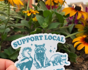 Support Local Street Cats Die Cut Sticker | Raccoon | Skunk | Possum | Nature Lover | Decal | Laptop Decal | Water Bottle Decal | Funny