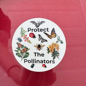 Skydda pollinatörernas magnet | Biälskare | Naturälskare | Bildekal | Rädda bina | Pollinatörer | Fjärilar | Fladdermöss | Kolibrier
