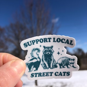 Mini Support Lokale Straßenkatzen sterben Schnitt Aufkleber | Waschbär | Stinktier | Possum | Naturliebhaber | Aufkleber | Laptop Aufkleber | Wasserflasche Aufkleber | Witzig