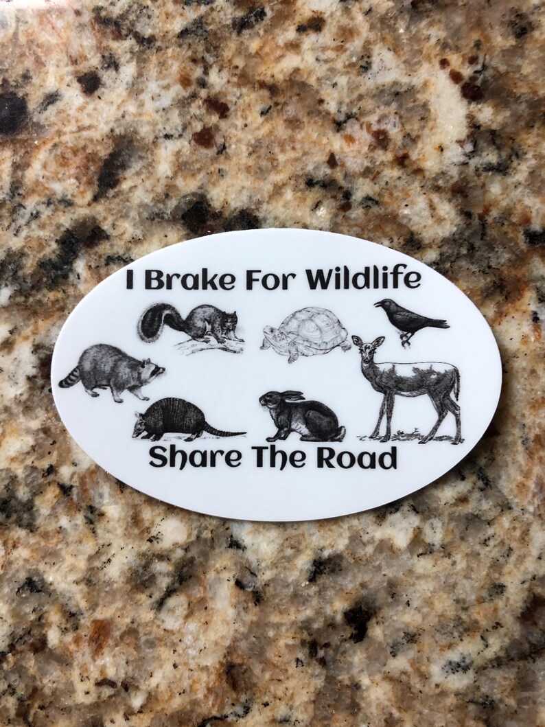I Brake for Wildlife Share the Road Die Cut Sticker | Respect the ...