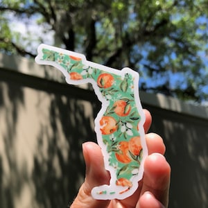Adesivo dello Stato della Florida con stampa arancione e sfondo trasparente / Florida / Arancione / Stato del sole / Adesivo per auto / Adesivo per bottiglia d'acqua