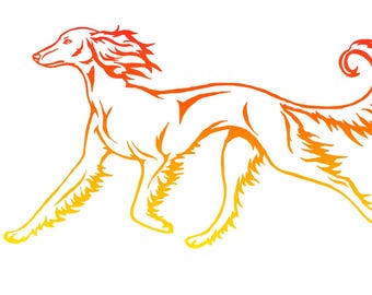 Saluki Decal - Saluki Car Decal - Sighthound Sticker