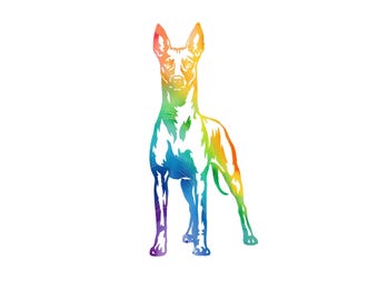 Xoloitzcuintli Decal | Xolo Dog Vinyl Sticker | Mexican Hairless Dog Lover Gift