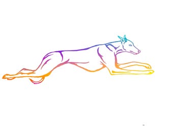 Sloughi Lure Coursing Decal | Sloughi Car Decal | Sighthound Vinyl Sticker