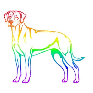 May include: A graphic illustration of a dog standing in profile, rendered with a vibrant rainbow gradient that transitions from red at the head to purple at the tail and paws, featuring clean lines against a plain white background.