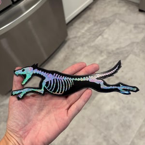 Belgian Malinois Halloween Magnet - Schutzhund Dog Magnet