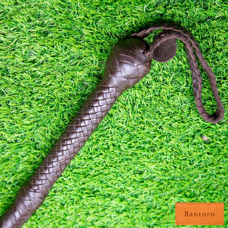 May include: A dark brown leather whip with a braided handle and a loop at the end. The whip is set against a backdrop of green artificial grass. The word "Bantoro" is visible on a small orange tag.