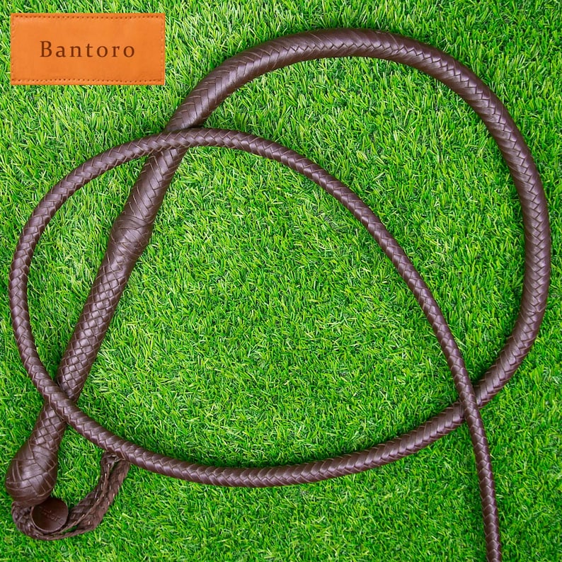 May include: A brown leather whip with a braided design, lying on a green surface. The word "Bantoro" is printed on a brown rectangular label in the upper left corner.